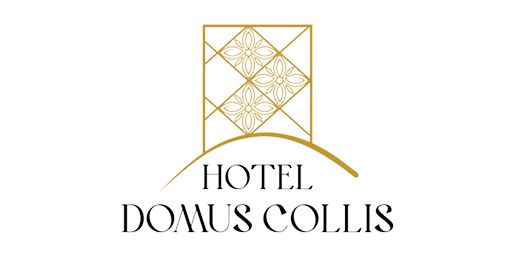 Domus Collis Logo