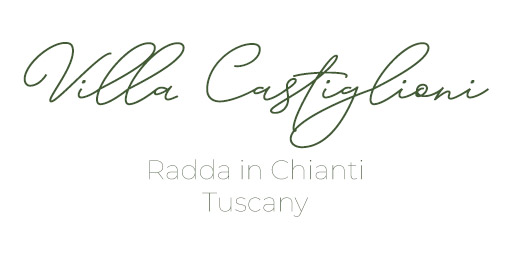 Villa Castiglioni logo